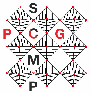 PCG-SCMP